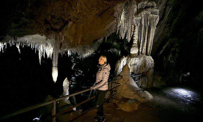 Die Lurgrotte Semriach ist Österreichs größte Tropfsteinhöhle