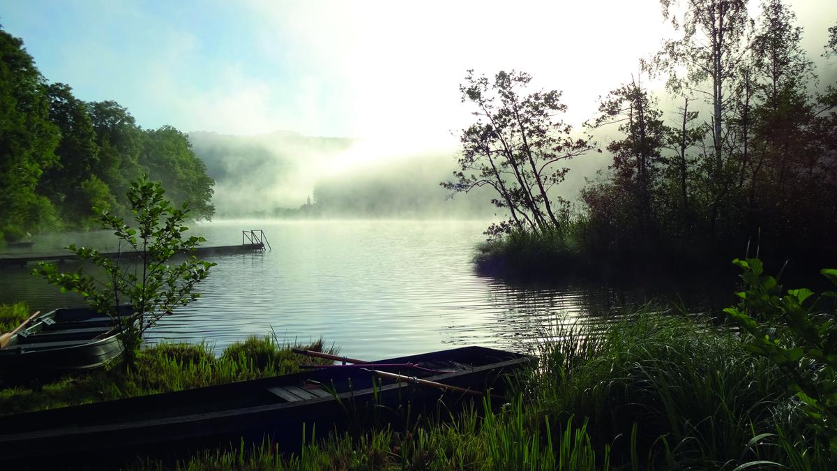 Idylle: Der Goggausee im Besitz des Gutes Poitschach. Auch dort gibt es trotz naturnaher Waldbewirtschaftung Skepsis