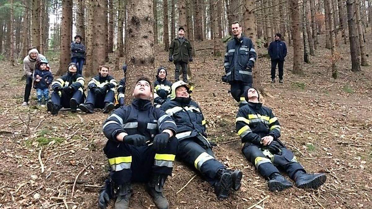 Hoch oben saß die Katze, die Günter Kern vom Baum holte