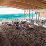 Neuer Milchviehstall der LFS Grottenhof