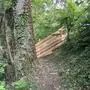 Ein durch einen Holzzaun abgesperrter Wanderweg