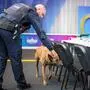 Auch Spürhunde und Drohnen werden eingesetzt, um die Großveranstaltung zu sichern. 