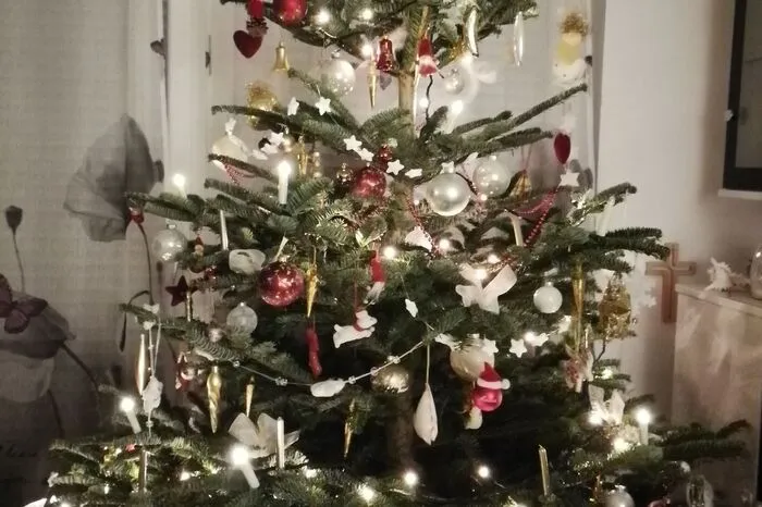 Dieser bezaubernd geschmückte Baum steht bei Andrea Novak zu Hause. Sie schickt mit dem Foto einen verspäteten Weihnachtsgruß und wünscht alles Gute für 2019!