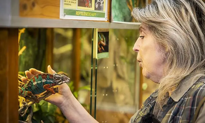 "Camel", das Chamäleon, mit Helga Happ