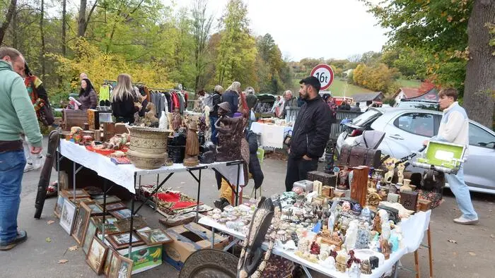 Mehrere hundert Aussteller boten beim Flohmarkt beim Bulldog-Wirt in Hof bei Straden ihre alten und neuen Schätze an.