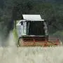 ++ THEMENBILD ++ Ein Mähdrescher bei der Getreideernte am Montag, 9. Juli 2018, im burgenländischen Jois. Trockenheit im Norden und zu viel Regen im Süden von Österreich hat in den vergangenen Monaten den heimischen Ackerbau belastet. Die Getreidepflanzen wuchsen aber aufgrund der vergleichsweise hohen Temperaturen besonders schnell. Die Bauern begannen deswegen besonders früh mit der Ernte.