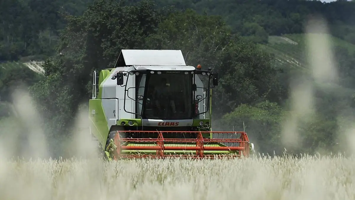 ++ THEMENBILD ++ Ein Mähdrescher bei der Getreideernte am Montag, 9. Juli 2018, im burgenländischen Jois. Trockenheit im Norden und zu viel Regen im Süden von Österreich hat in den vergangenen Monaten den heimischen Ackerbau belastet. Die Getreidepflanzen wuchsen aber aufgrund der vergleichsweise hohen Temperaturen besonders schnell. Die Bauern begannen deswegen besonders früh mit der Ernte.