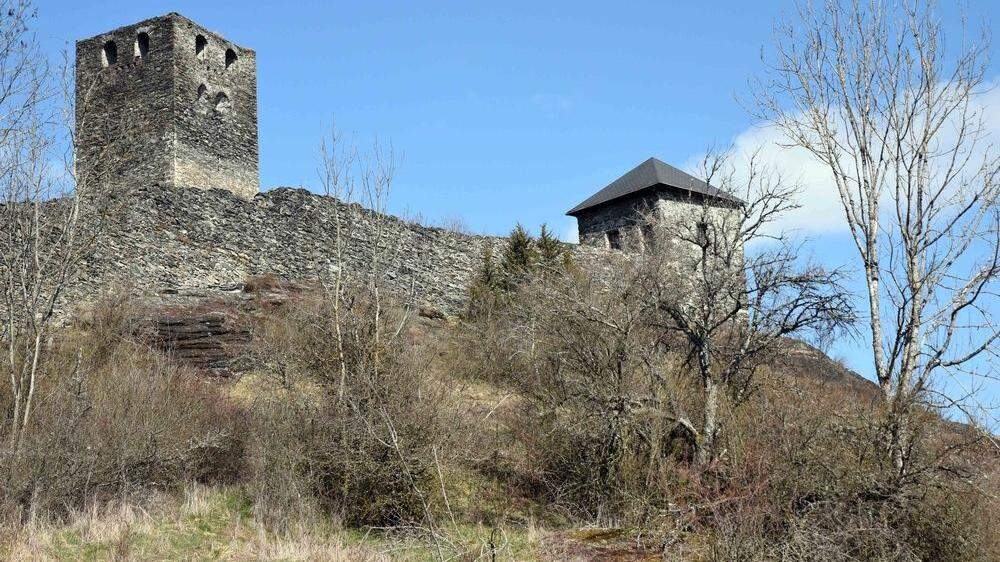 Der Verein „Pulster Dorfleben aktiv“ hat vor rund einem Jahr mit der Bewirtschaftung der Burg begonnen 
