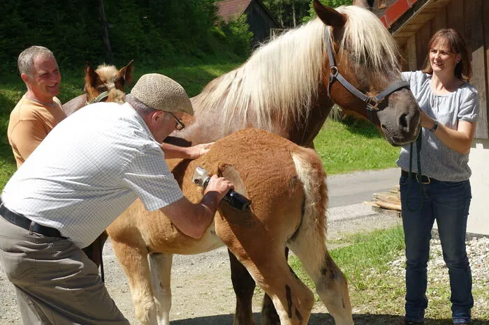 Weitere Bilder...