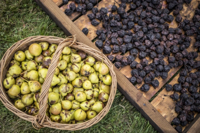 50 Kilogramm Obst können pro Dörrvorgang verarbeitet werden.