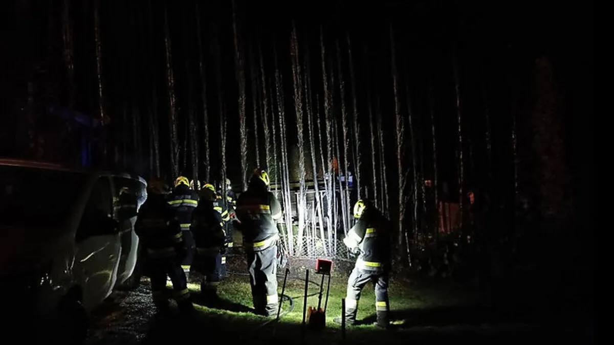 Die Hecke brannte komplett ab