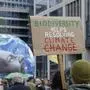 Immer wieder demonstrieren Menschen, um auf den Klimawandel und seine verheerenden Folgen aufmerksam zu machen