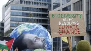 Immer wieder demonstrieren Menschen, um auf den Klimawandel und seine verheerenden Folgen aufmerksam zu machen