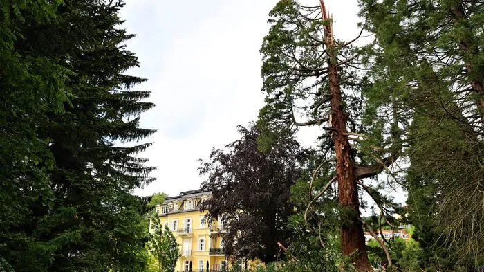 Am Dienstagnachmittag (26. Mai) zog eine Gewitterfront über die Südoststeiermark. Mit im Gepäck hatte sie zahlreiche Blitze. Einer schlug in den Mammutbaum im Kurpark von Bad Gleichenberg ein.