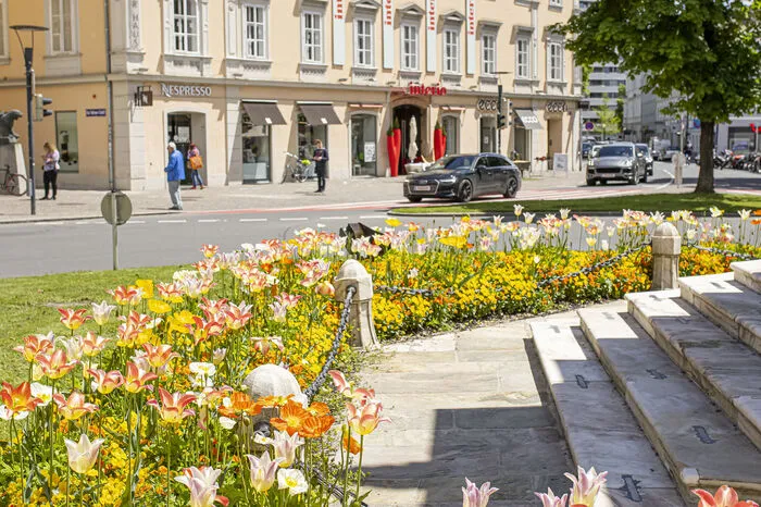 Diese sind nicht nur eine Augenweide für die Stadtbesucher.