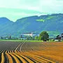 Mitte Oktober gehen die Verhandlungen um die Gründe für den künftigen Gewerbepark weiter 