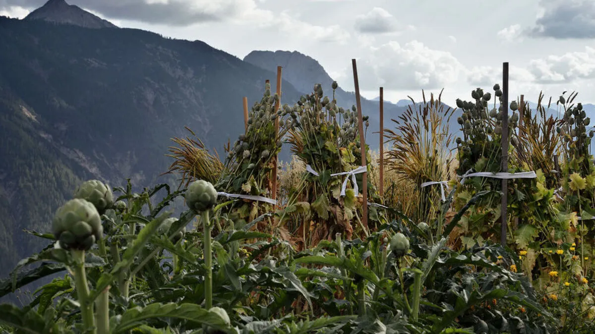 Mit dem neuen Projekt will man die Begeisterung für die Erhaltung der Kulturartenvielfalt im Osttiroler und Südtiroler Pustertal entfachen