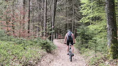 Die Wege am Kreuzbergl sind nicht für Radfahrer freigegeben, dennoch sind sehr viele unterwegs – zum Teil auch rücksichtslos.