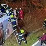 Die Personen und die Tiere konnten unverletzt geborgen werden