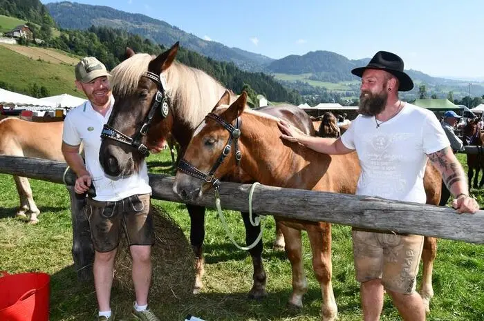 Tausende Besucher, darunter viele Kinder und Jugendliche, ließen sich die Gelegenheit nicht entgehen, die Pferde aus nächster Nähe zu sehen und zu streicheln.
