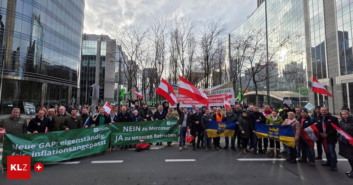 Landwirte-w-hlen-Das-Buhlen-um-die-Bauern-hebt-voll-an