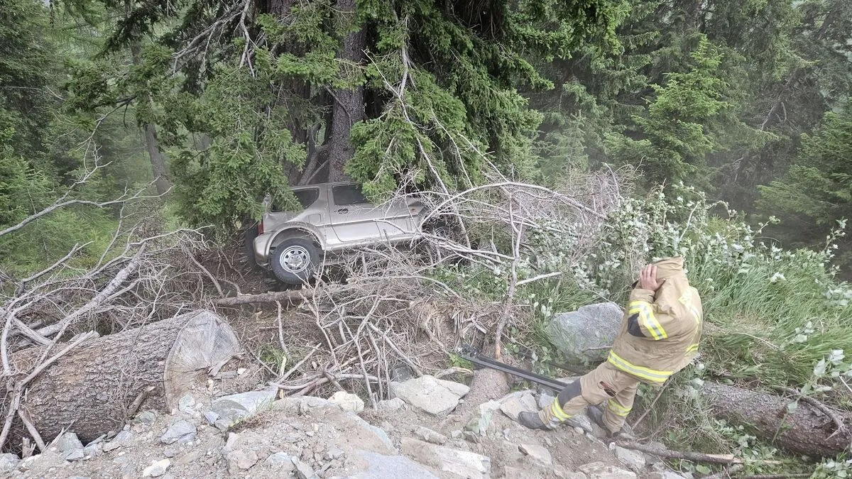Pkw stürzte 12 Meter tief in Baumgruppe