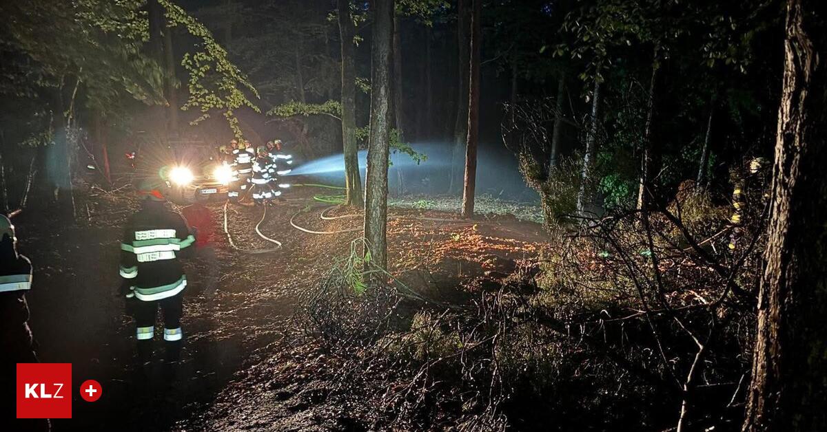 Zweites-Mal-in-einer-Woche-Feuerwehren-bek-mpften-Waldbrand-in-Magland