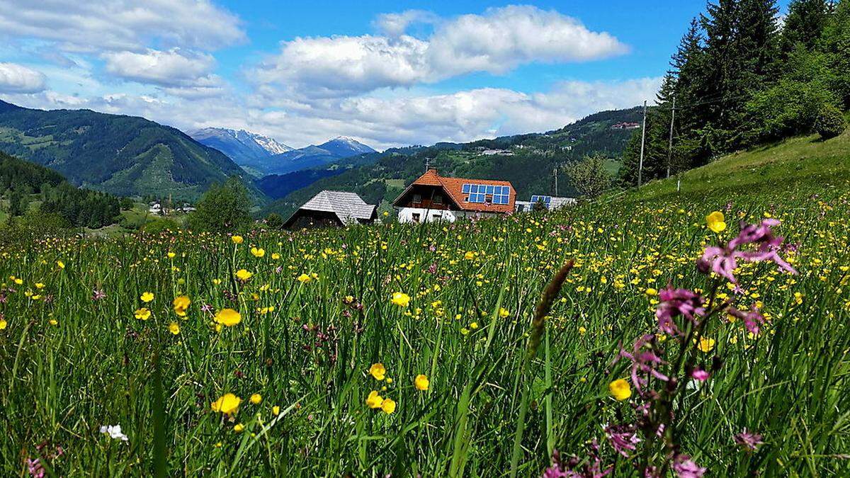 Der Frühling lässt grüßen - in Probst bei Murau