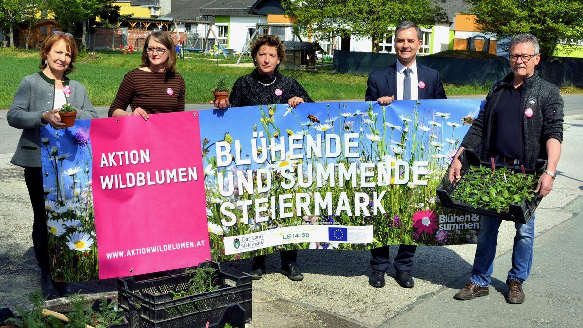 Die Aktion &quot;Wildblumen&quot; geht in die nächste Runde