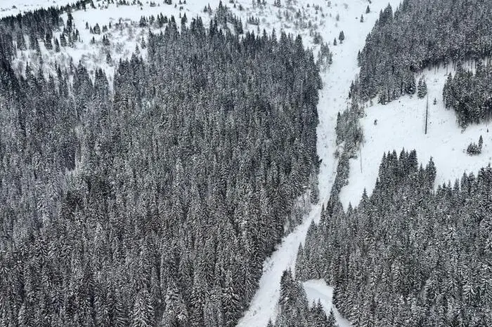 Zum ersten Mal seit 36 Jahren ist hier eine Lawine abgegangen.
