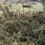 Auch im Mölltal (hier in Stranach bei Mörtschach) sind die Schäden in den Wäldern enorm