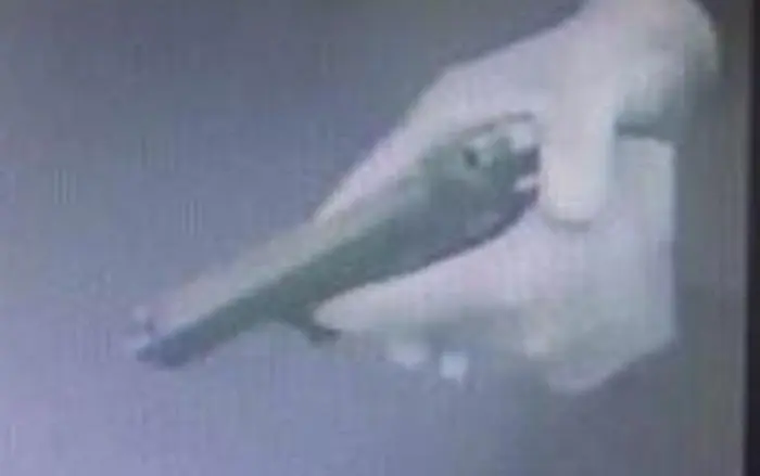 Mit dieser Waffe bedrohte der Bankräuber seine Opfer. Die Ermittler sind sich sicher, dass es sich um eine echte Pistole handelt