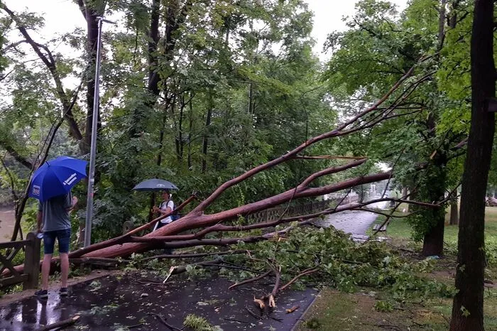 Ein Baum lag quer über dem Fahrradweg