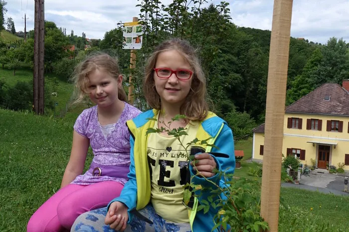 Weil Naturparkschulen aus der ganzen Steiermark an dem Projekt teilnehmen, lässt sich auch anschaulich vergleichen, wie unterschiedlich sich die Pflanzen in den verschiedenen Regionen entwickeln.