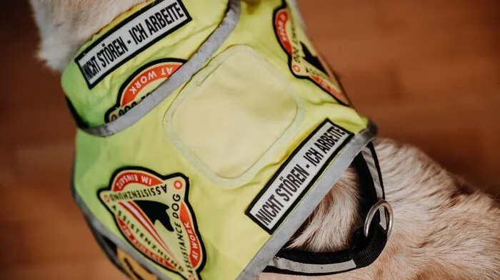 Dieses Geschirr weist Sammy als Assistenzhund aus.