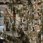 Der "dürre" Baum auf der Piazza Venezia