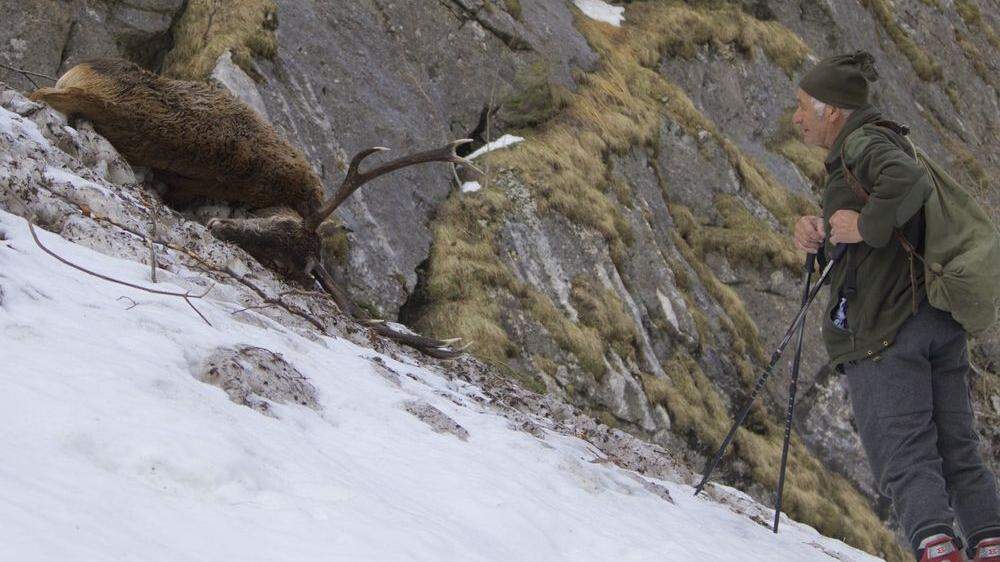 Mit den zurückweichenden Schneemassen werden in der Obersteiermark immer mehr Tierkadaver aufgefunden