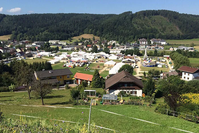 Die "Wiese" wächst im Eiltempo, wie uns Ewald Kotnik zeigt.