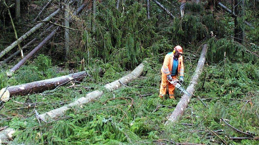 Schäden in den Wäldern müssen aufgearbeitet werden, Wanderwege sind deshalb gesperrt