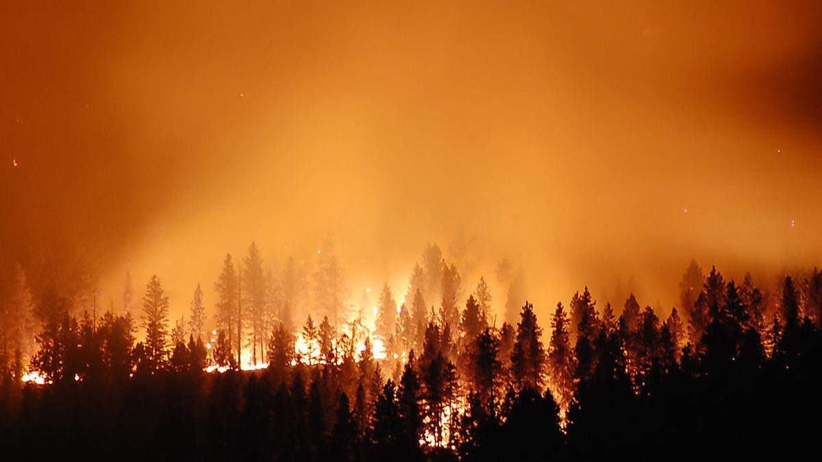 In diesem Jahr wurden bereits 140.000 Hektar Wald durch Brände vernichtet (Sujetbild)