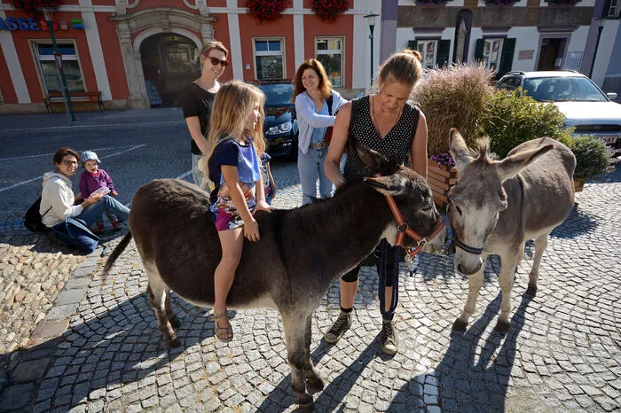 Gestartet wurde gemeinsam mit den Tieren auf dem Pöllauer Hauptplatz.