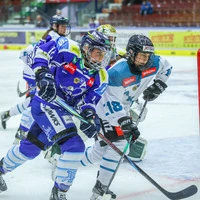 VSV Lady Hawks und Lakers Kärnten rittern um Medaillen