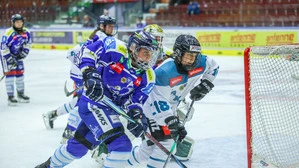 VSV Lady Hawks und Lakers Kärnten rittern um Medaillen