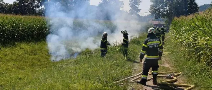 Die Feuerwehr brachte den Brand rasch unter Kontrolle