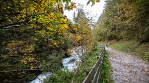 Der junge Mann stürzte aus noch unbekannter Ursache in den Talbach