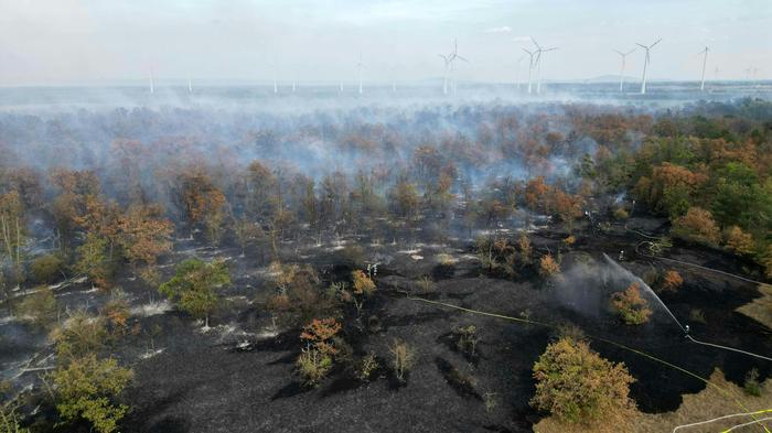 Rund 100 Feuerwehrleute sind mit den Löscharbeiten beschäftigt, auch eine Drohne ist im Einsatz.