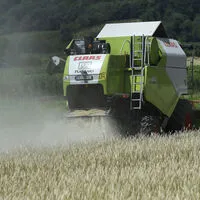 Wegen des Regens braucht es für die Getreideernte in Kärnten heuer teils mehrere Anläufe