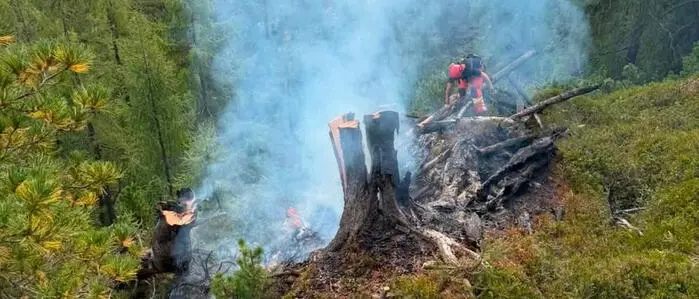 Das Feuer auf der Brunnalm nahe Weißenbach bei Liezen am vergangenen Sonntag war Waldbrand Nummer 23