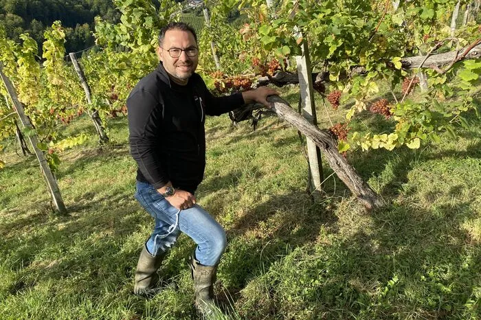 Winzer Stefan Potzinger weiß um die Ängste seiner Erntehelfer: "Die Angst um die eigene Existenz ist oft größer als vor der Krankheit."