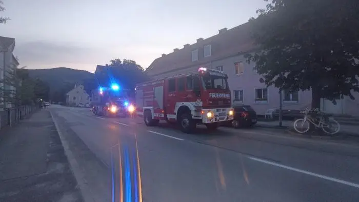 Die Feuerwehr rückte mit drei Fahrzeugen aus